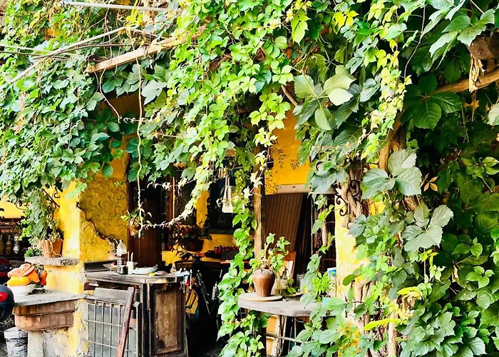 Apartment San Raffaele